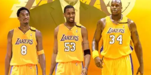 如果麦蒂替科比去搭档鲨鱼？